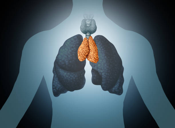 doctor for thymoma best doctor for thymoma in vashi